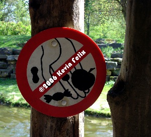 No Feeding